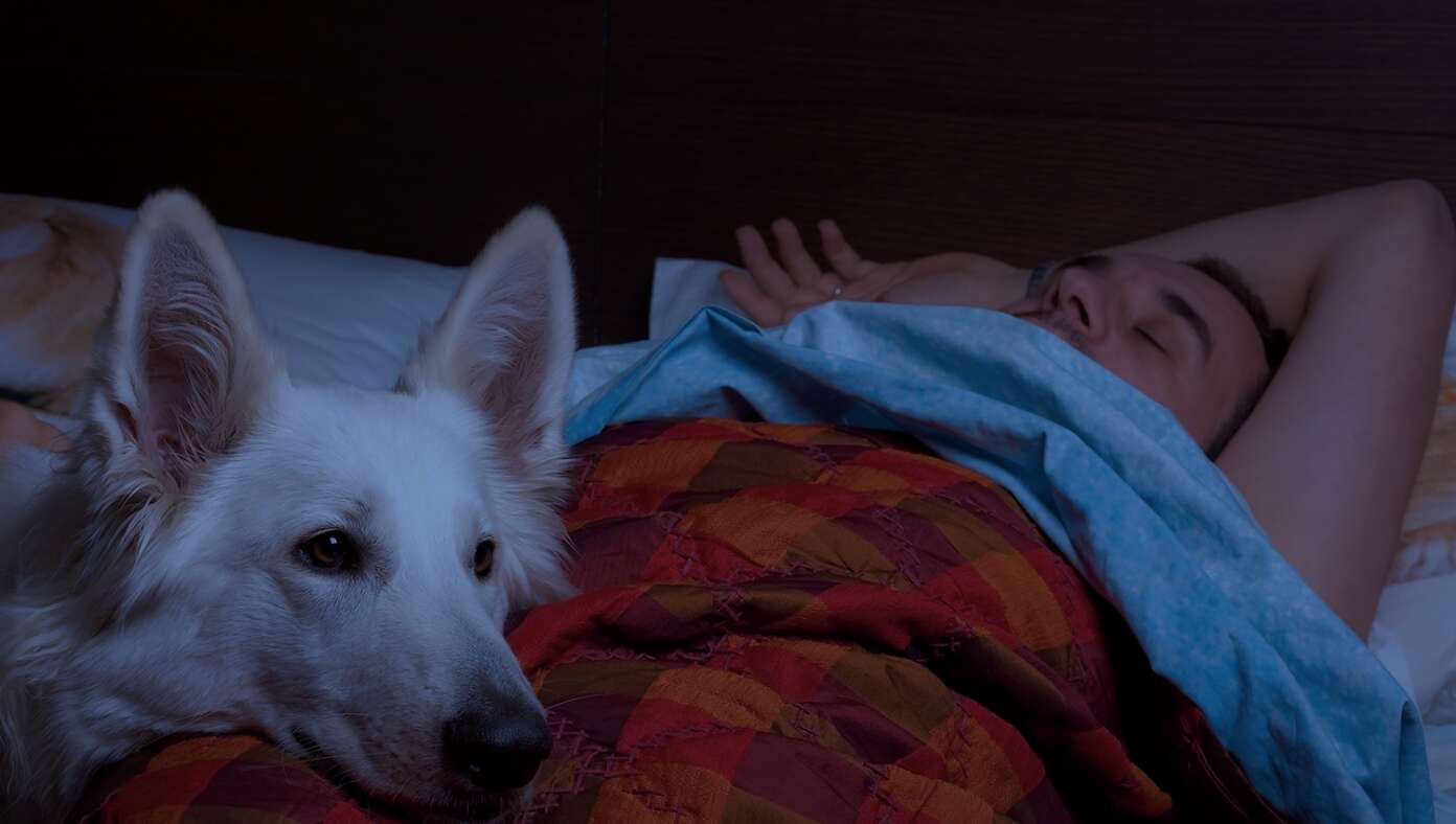 Thumbnail for Man Who Needs To Wake Up Early Sets Dog To Vomit At 5:00 AM
