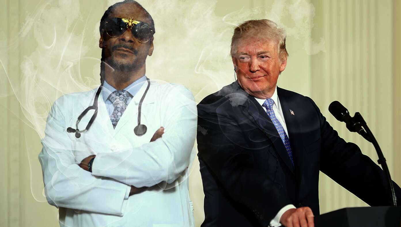 Trump Eases Marijuana Restrictions After Reviewing Extensive Research By Dr. S. Dogg - Article image