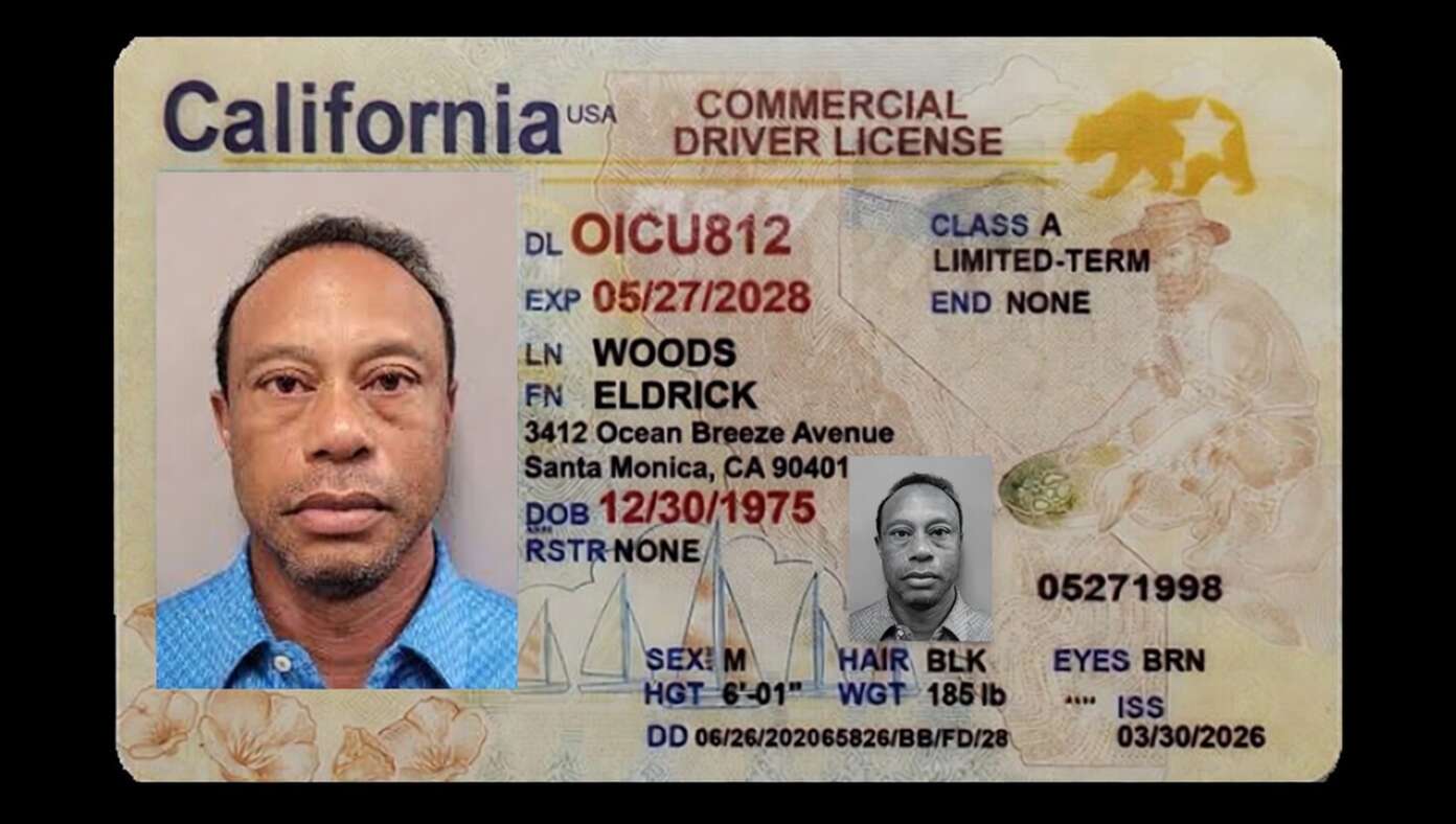 Tiger Woods Awarded Honorary California CDL - Featured article image