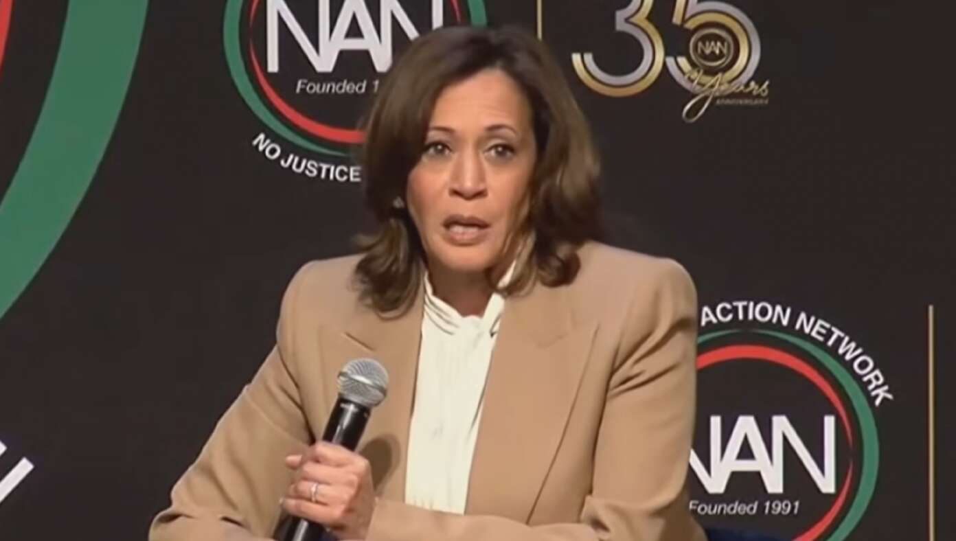 Kamala Harris 'Thinking About' Losing Again In 2028 - Article image