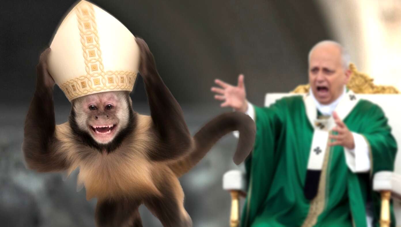 Uh Oh! A Monkey Stole The Pope Hat And Now He's Infallible - Article image