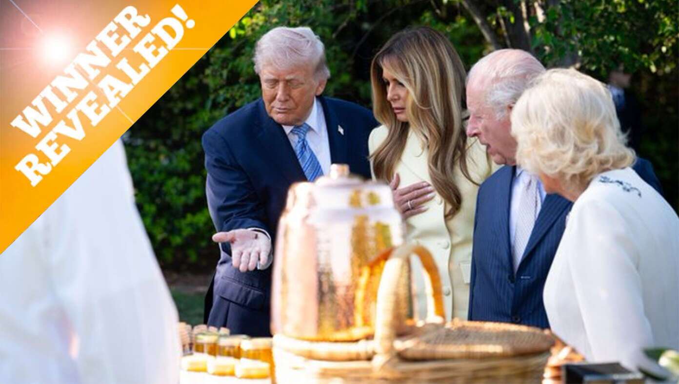Photo Caption Challenge Winner: Trump And The Bees Edition - Article image