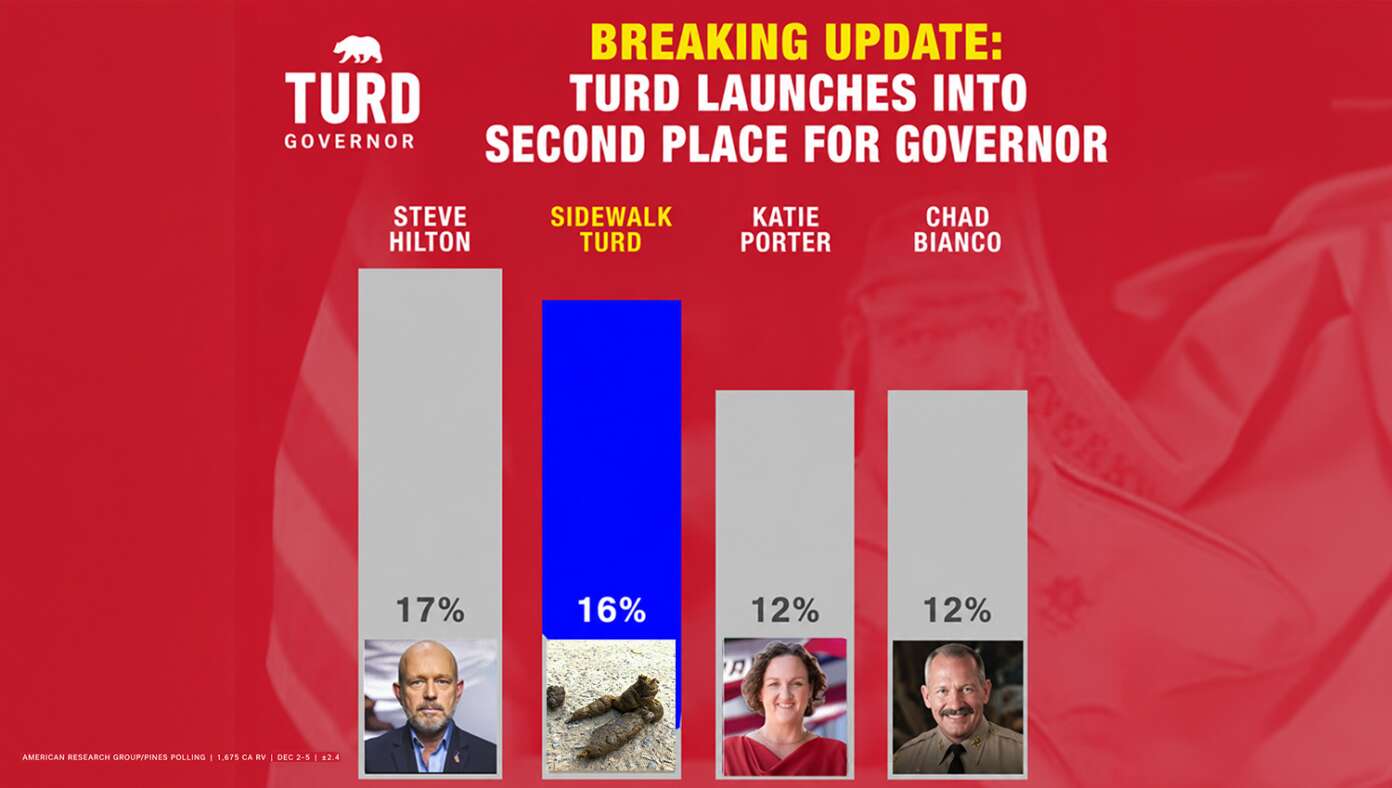 Turd On San Francisco Sidewalk Now Polling Second In California Governor's Race - Article image