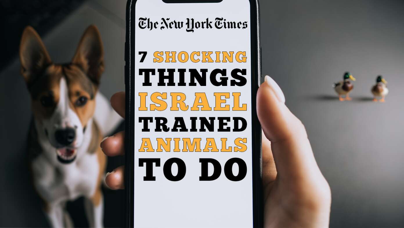 The NYTimes Reveals: 7 More Shocking Things Israel Has Trained Animals To Do - Article image