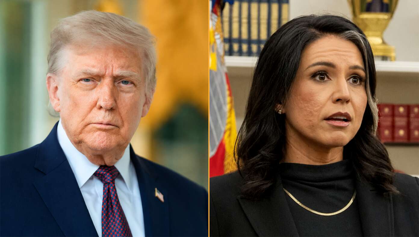 Tulsi Gabbard Forced To Resign After Trump Discovers She's Not Blonde - Article image