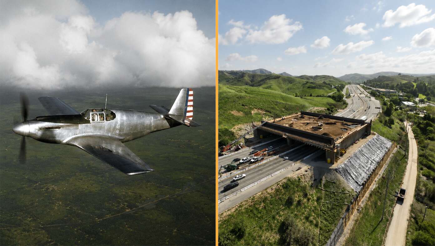 State Where P-51 Mustang Was Built In 102 Days Now Taking 4 Years To Build Bridge For Butterflies - Article image