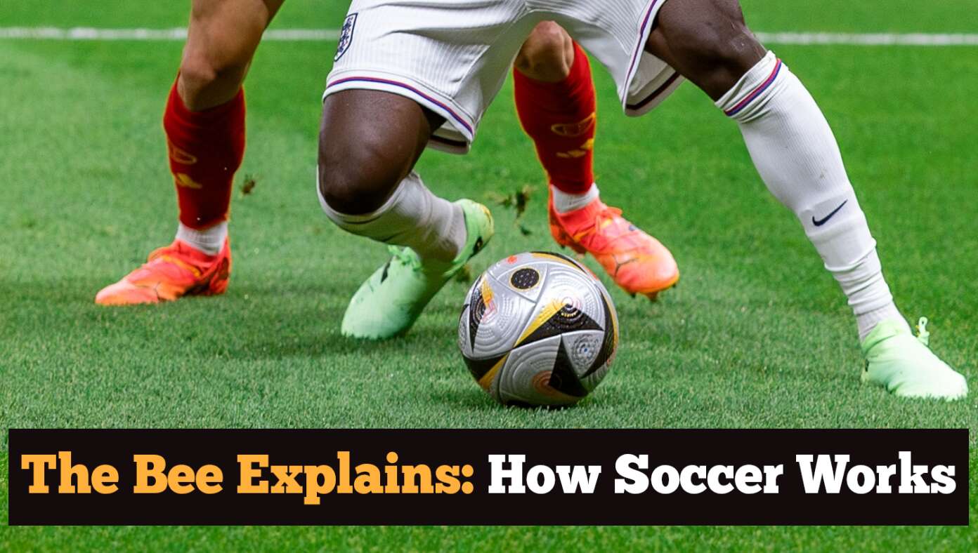 The Bee Explains: How Soccer Works