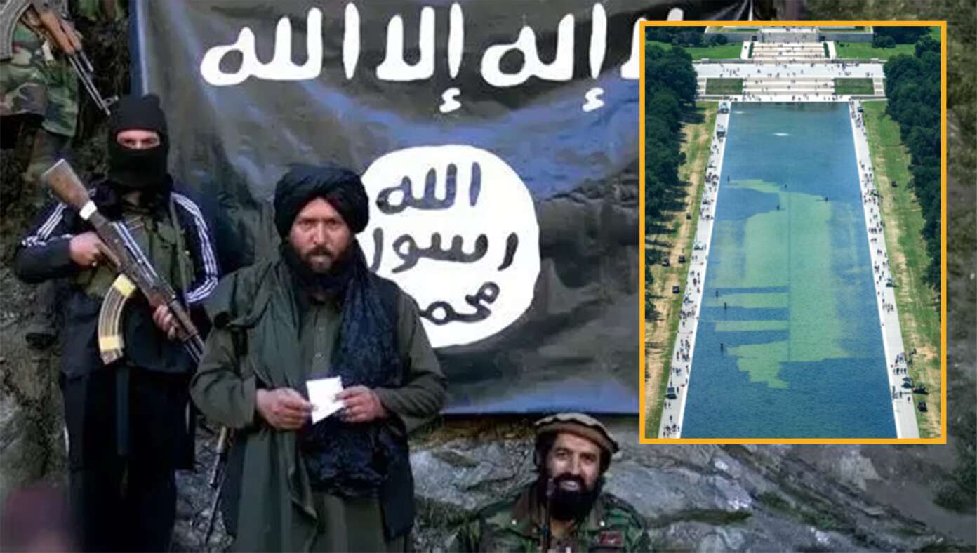ISIS Claims Responsibility For Reflecting Pool Algae - Article image