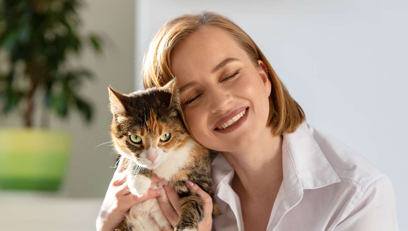 'What A Good Little Kitty You Are,' Owner Says To Cat Who Is Currently Plotting Her Violent Death