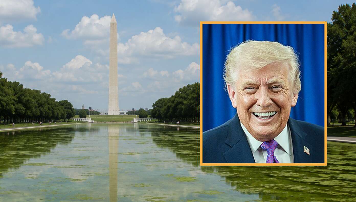 4D Chess: Trump Makes Reflecting Pool Even Swampier So It Will Reflect D.C. More Accurately - Featured article image