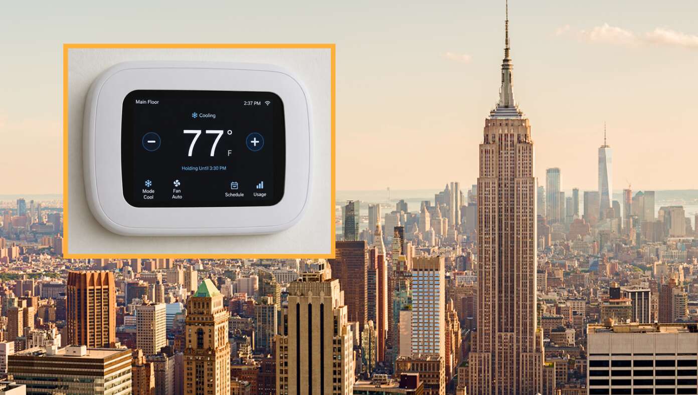 Thousands Dead After New York Man Lowers Apartment Temp To 77 Degrees - Article image