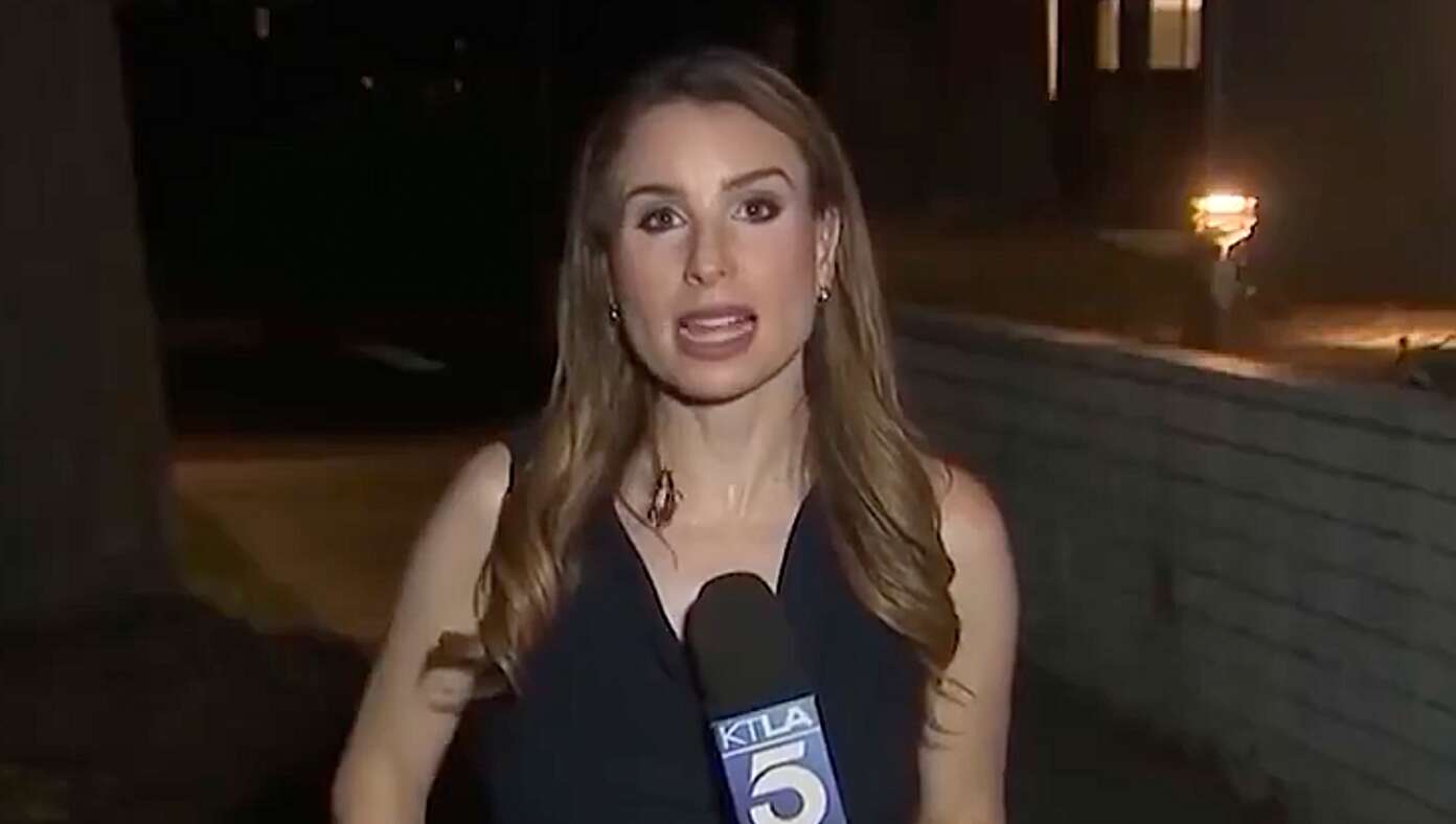 Cockroach Maintains Composure Despite Making Contact With Journalist - Article image