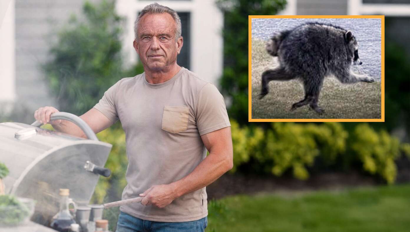 Oh No! RFK Jr. Eats Jimothy - Featured article image