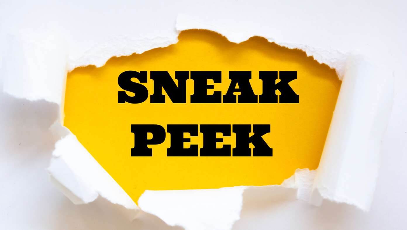 Subscriber Sneak Pee: The Bee's New Project - Article image