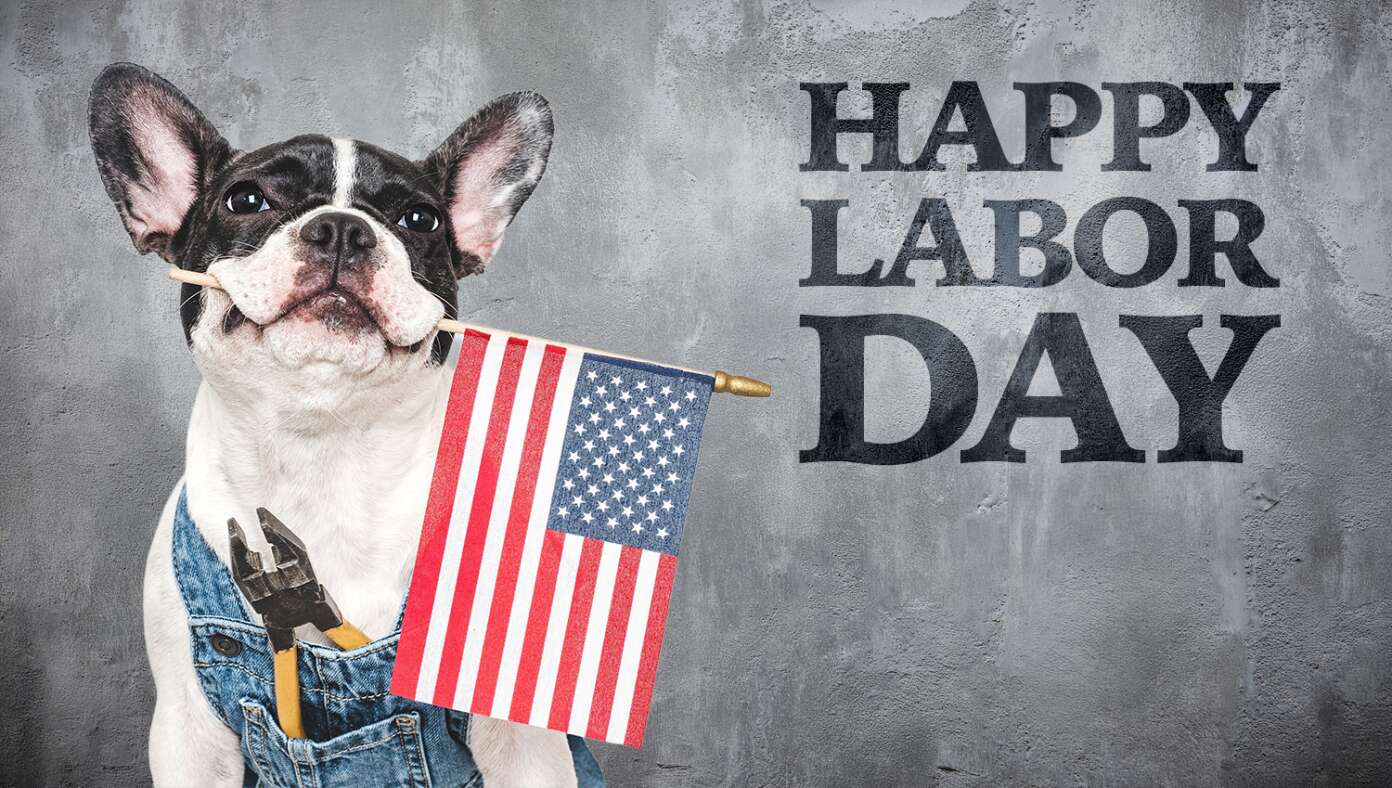 Happy Labor Day 2026! - Article image